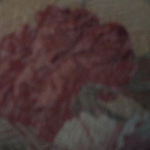 Meet your Posher, Simone